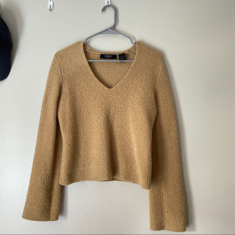 Express Fuzzy Sweater